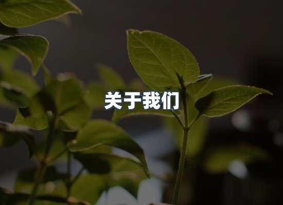 关于我们